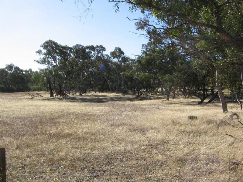 Section 50 Mundulla/Padthaway Rd, Padthaway SA 5271, Image 0