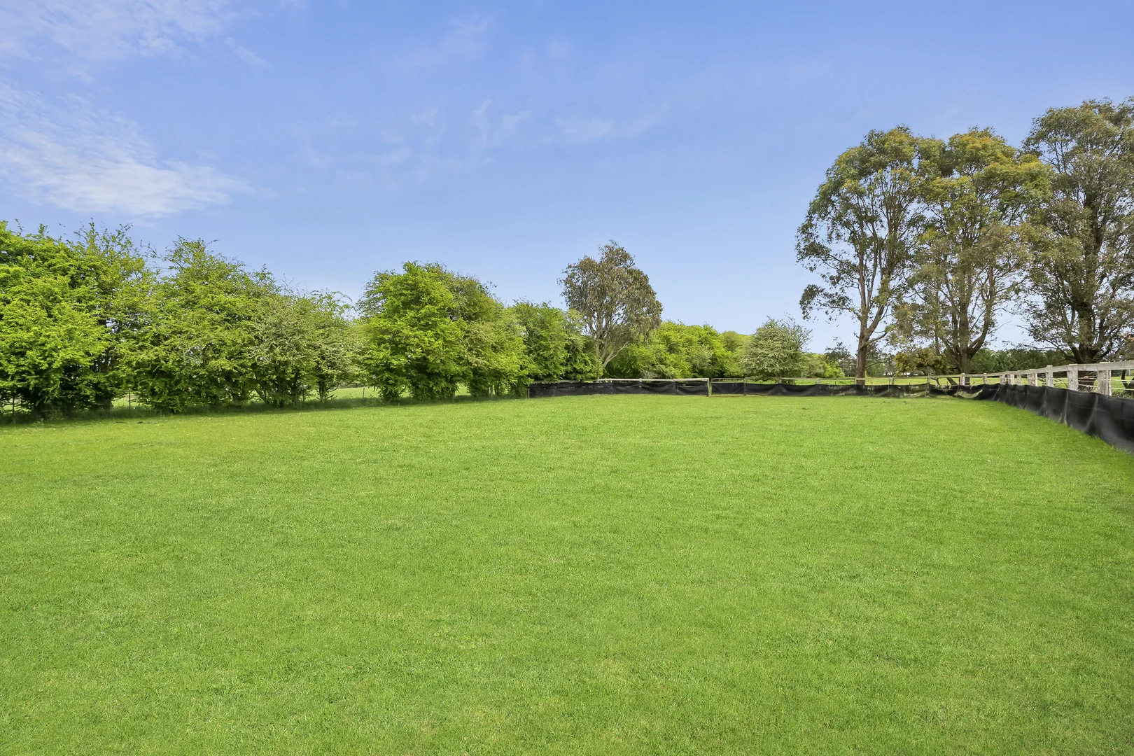 Image 20