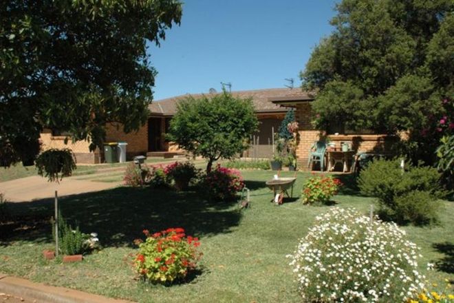 Picture of 1 &amp; 2/3 Rainbow Pl, DUBBO NSW 2830