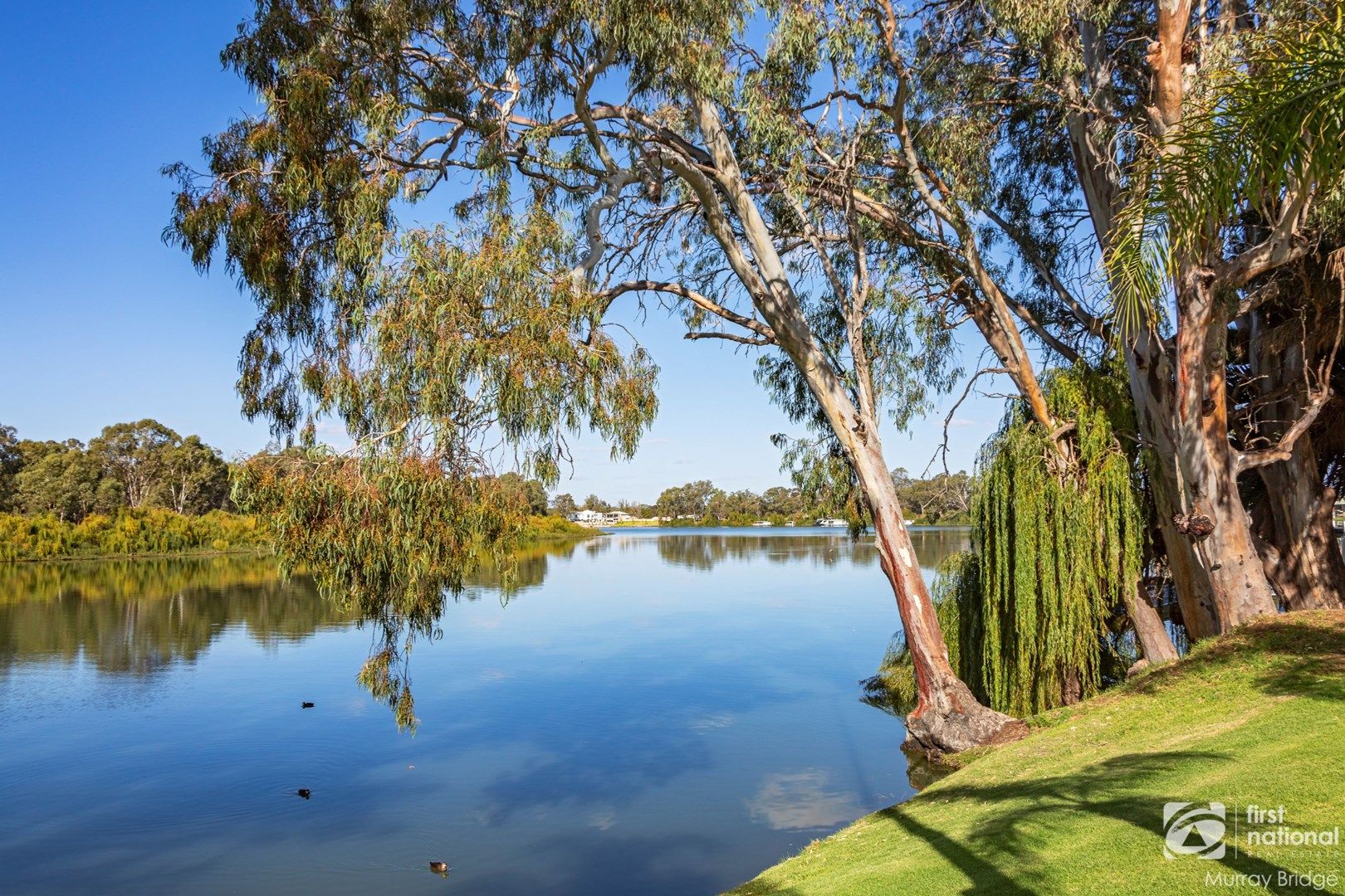 Lot 211 Melaleuca Way, Murray Bridge SA 5253, Image 2