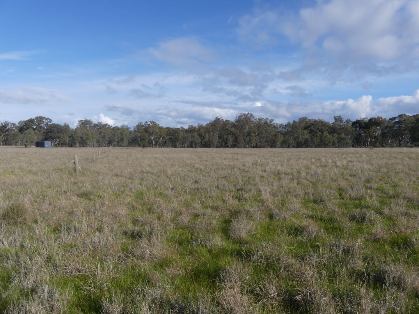 Walshs Bridge South Road, Waaia VIC 3637, Image 1