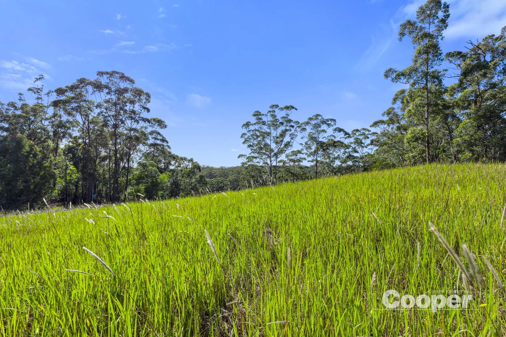 Additional image 6 of 56B Kingiman Road, Woodburn NSW 2538