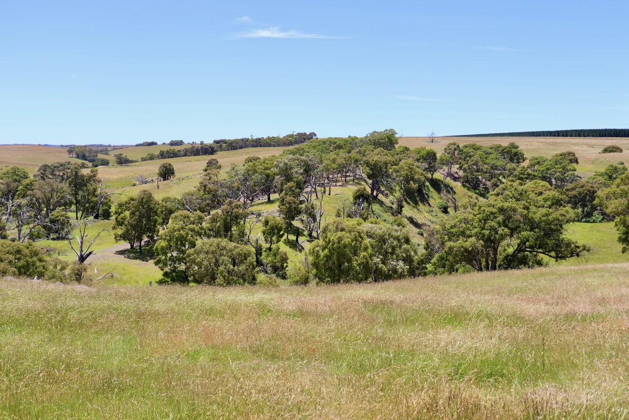 Image 11