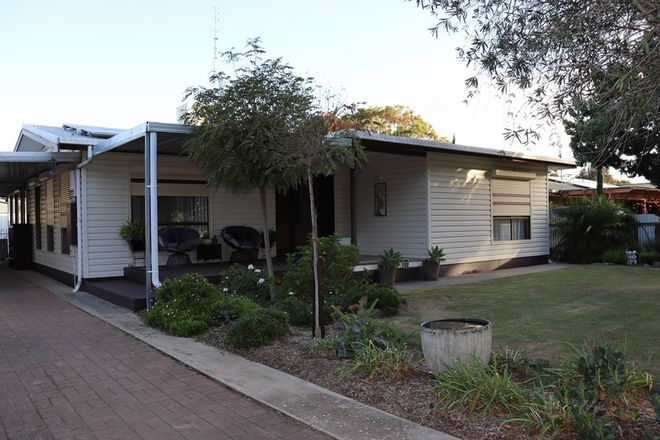 Picture of 7 Leckie Avenue, LAMEROO SA 5302