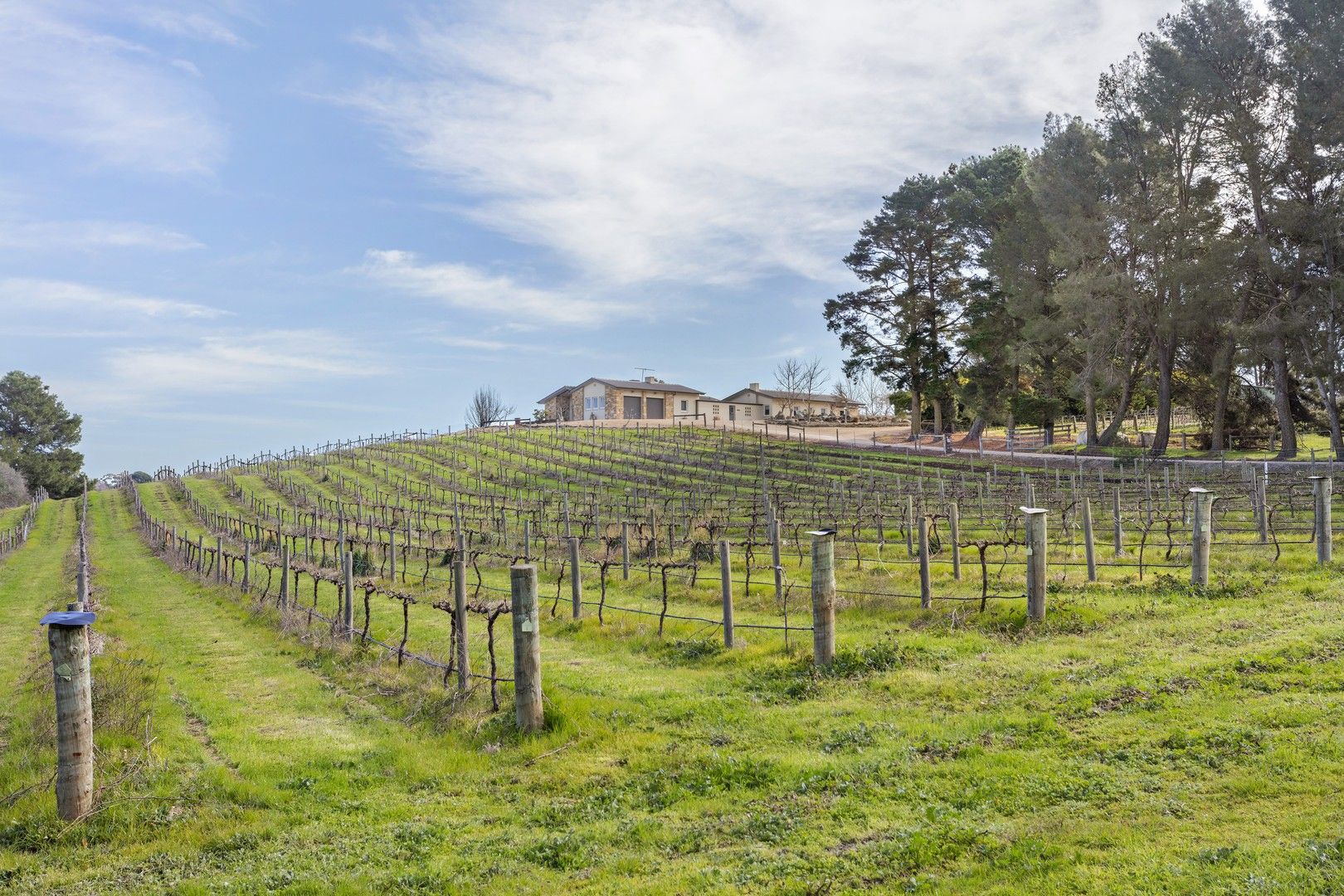Rural in 593 North Street, ANGASTON SA, 5353