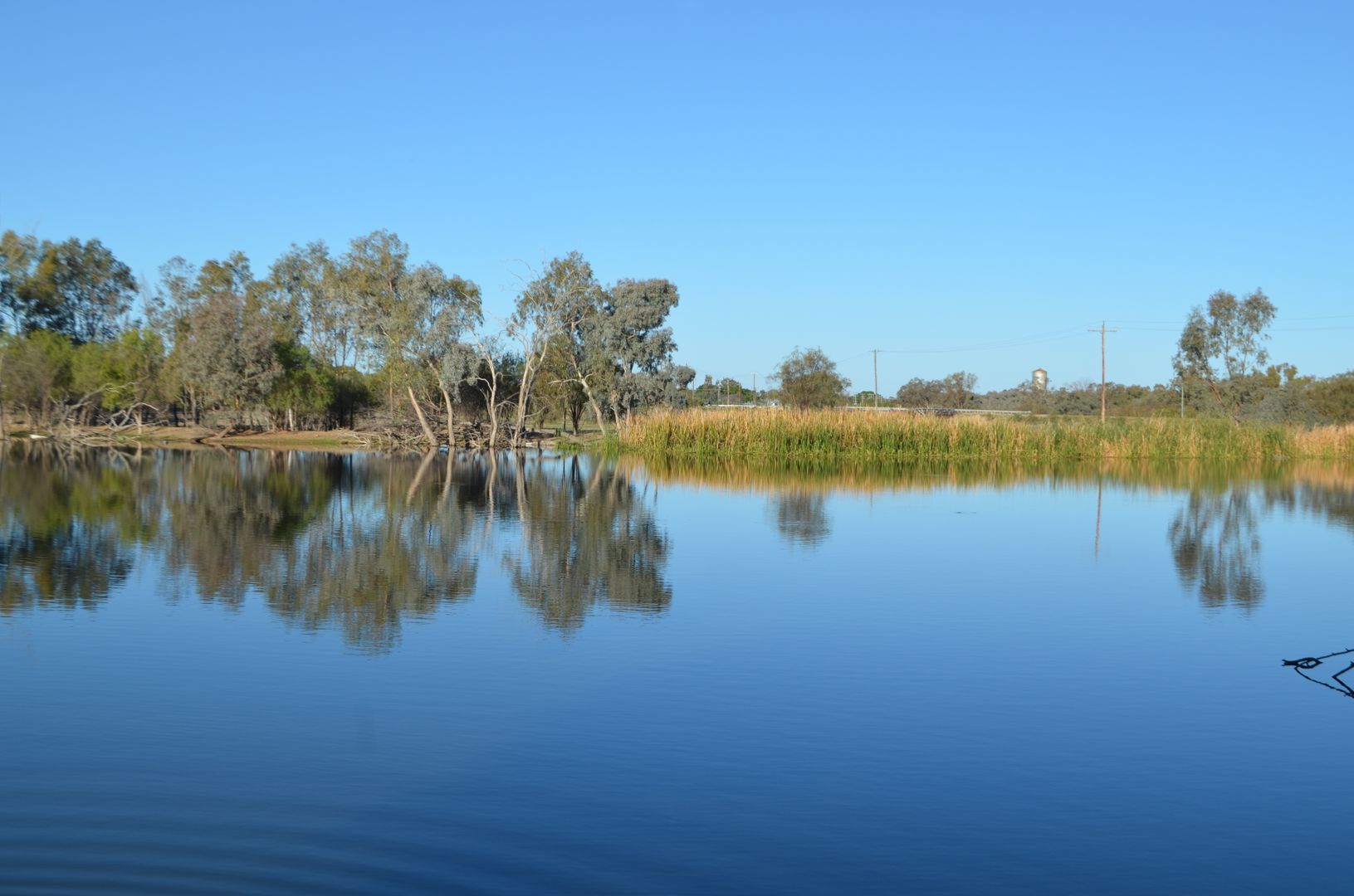 Brewarrina NSW 2839 Vacant Land for Sale 450,000495,000 Domain