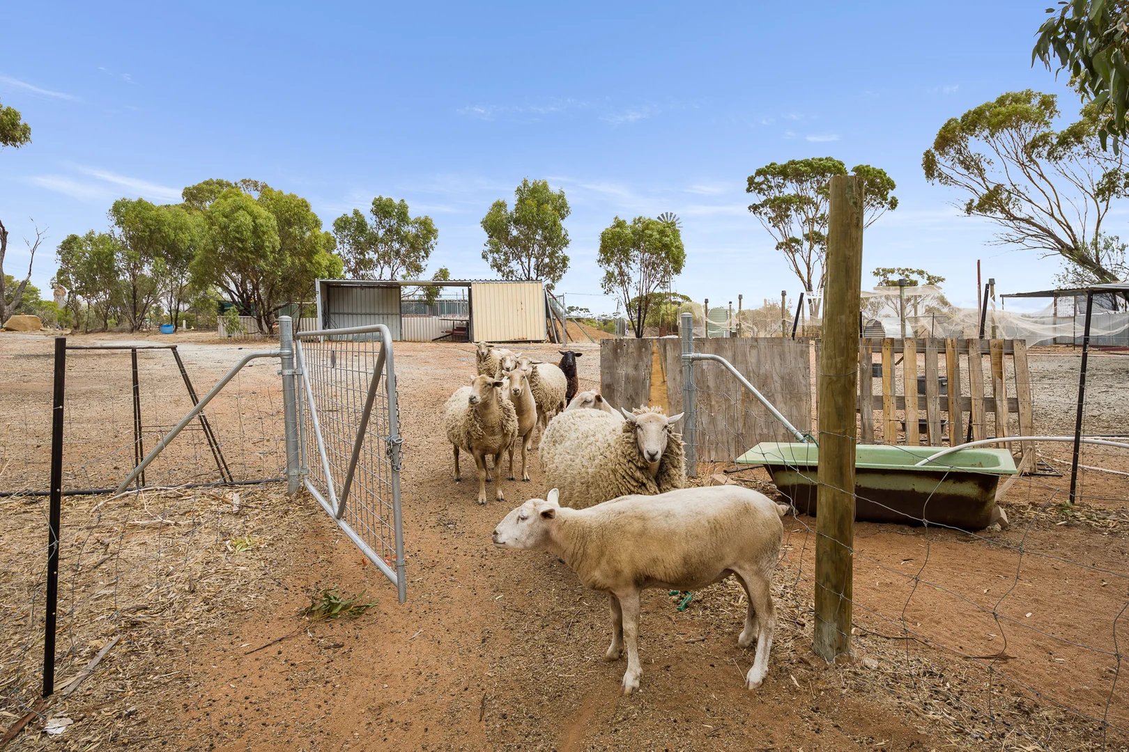 Additional image 25 of 21 York Gum Drive, Goomalling WA 6460