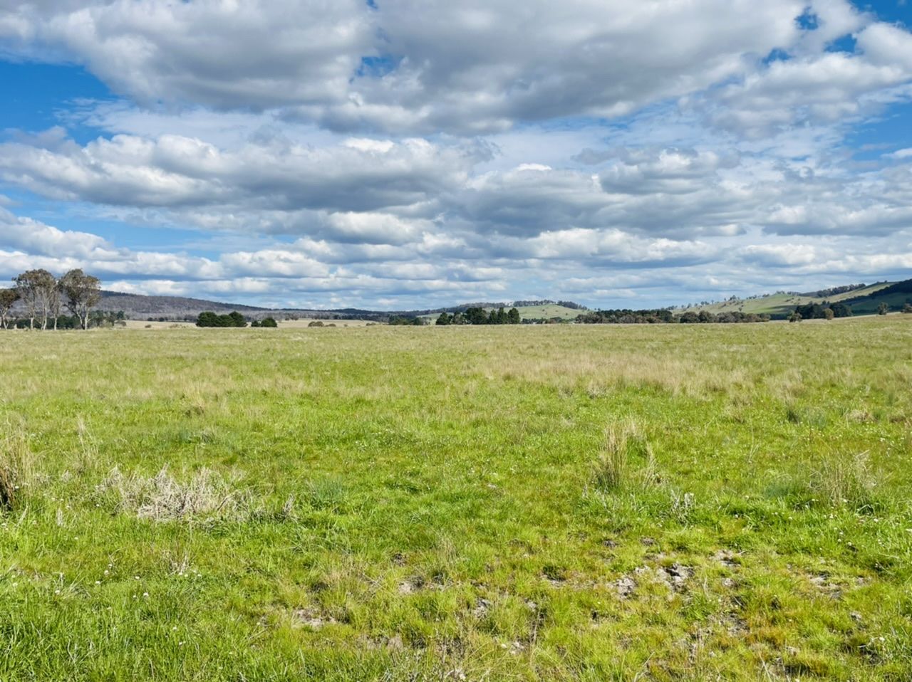 850 Table Top Road, Walcha NSW 2354 House for Sale 1,350,000