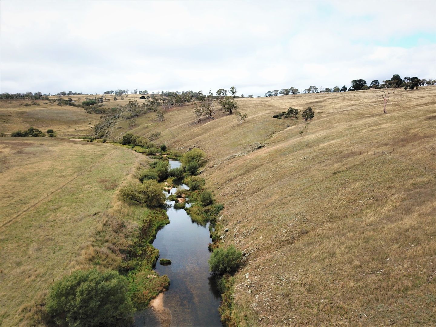 201-204 Bellview Road, Bombala NSW 2632, Image 1