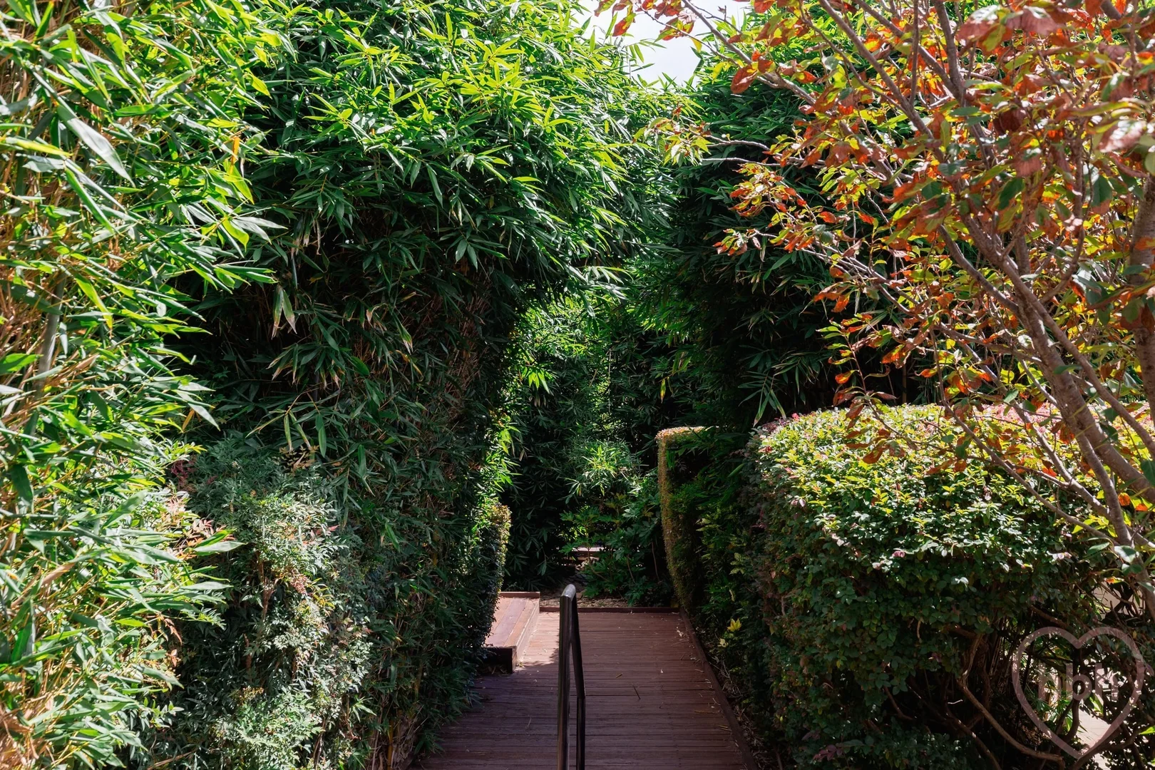 Additional image 27 of 48/12 Challis Street, Dickson ACT 2602