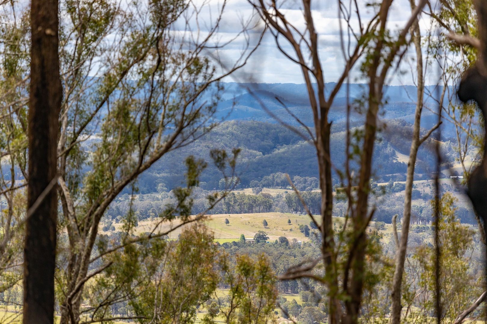 Lot 71 Careys Road, Hillville NSW 2430, Image 2