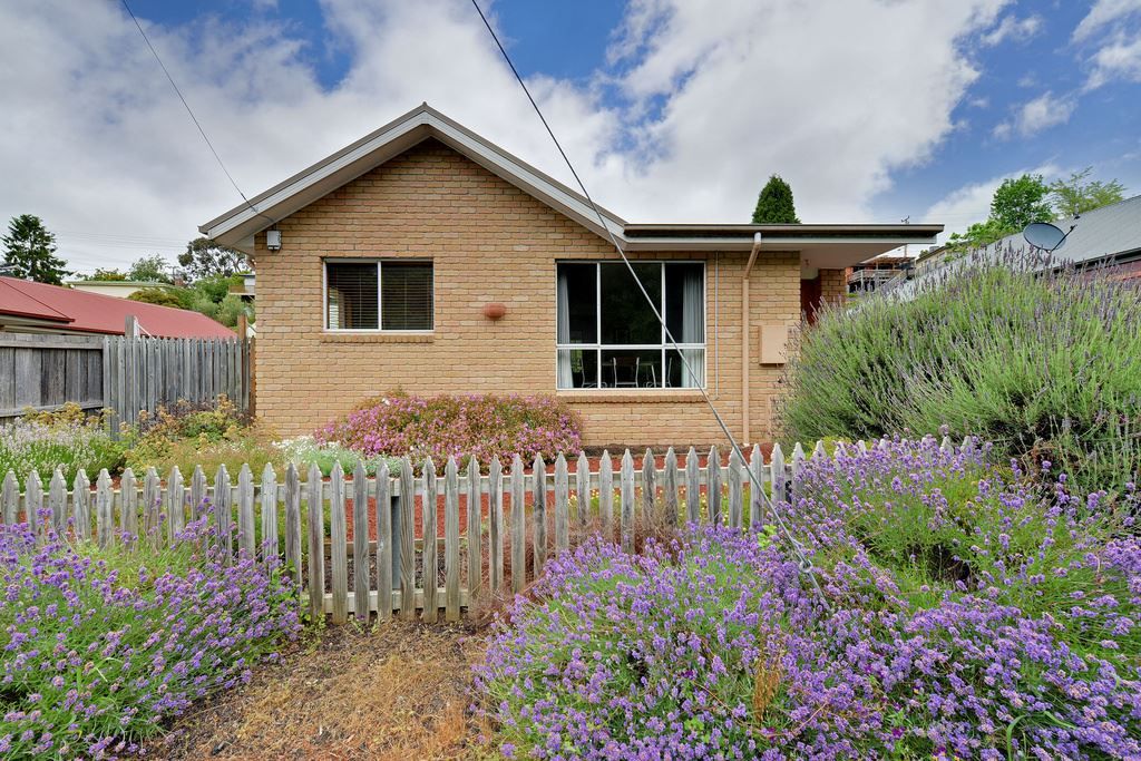 1/38a Macfarlane Street, South Hobart TAS 7004, Image 0