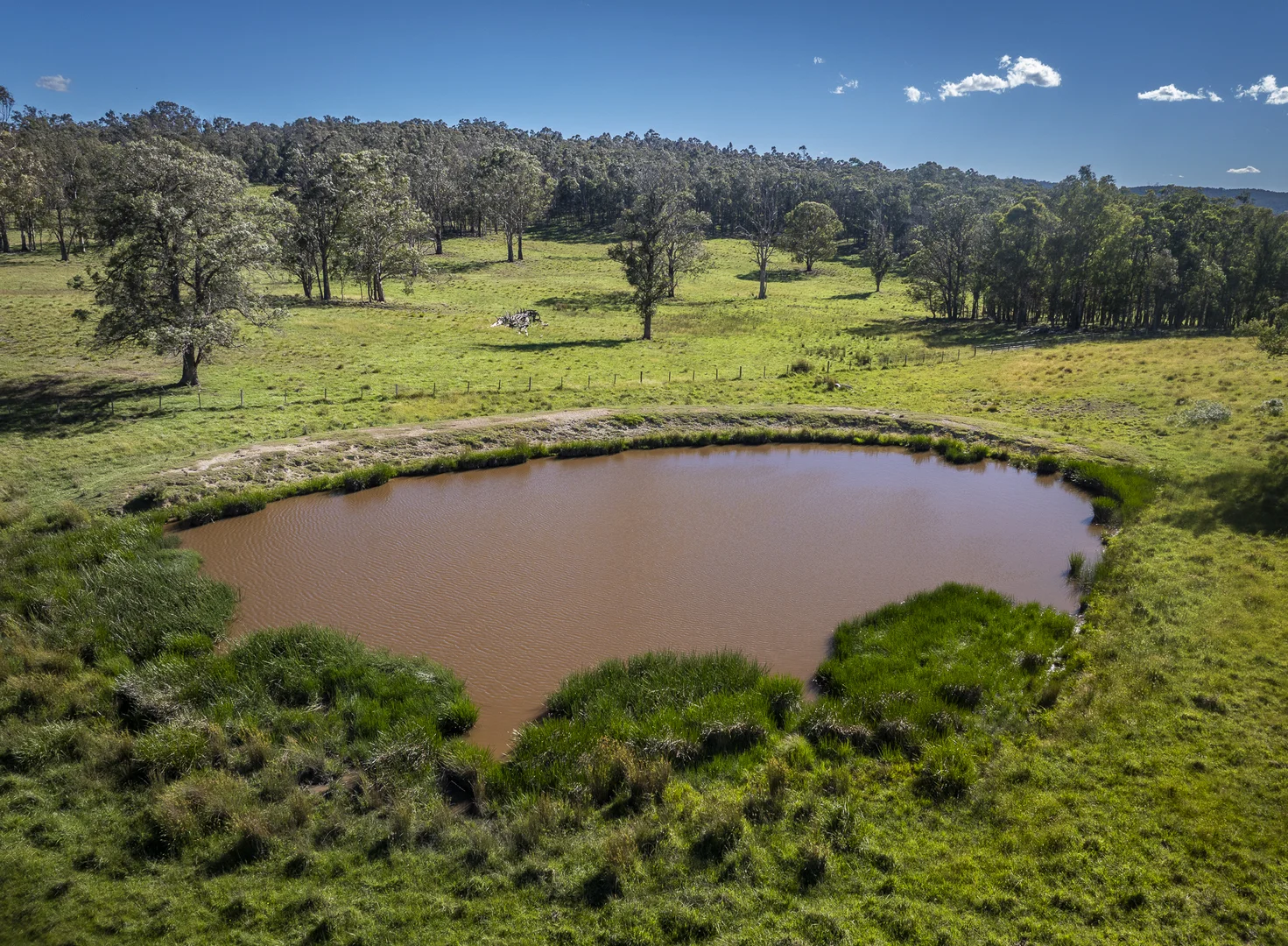 Additional image 17 of 161 Hickeys Road, Wongwibinda NSW 2350