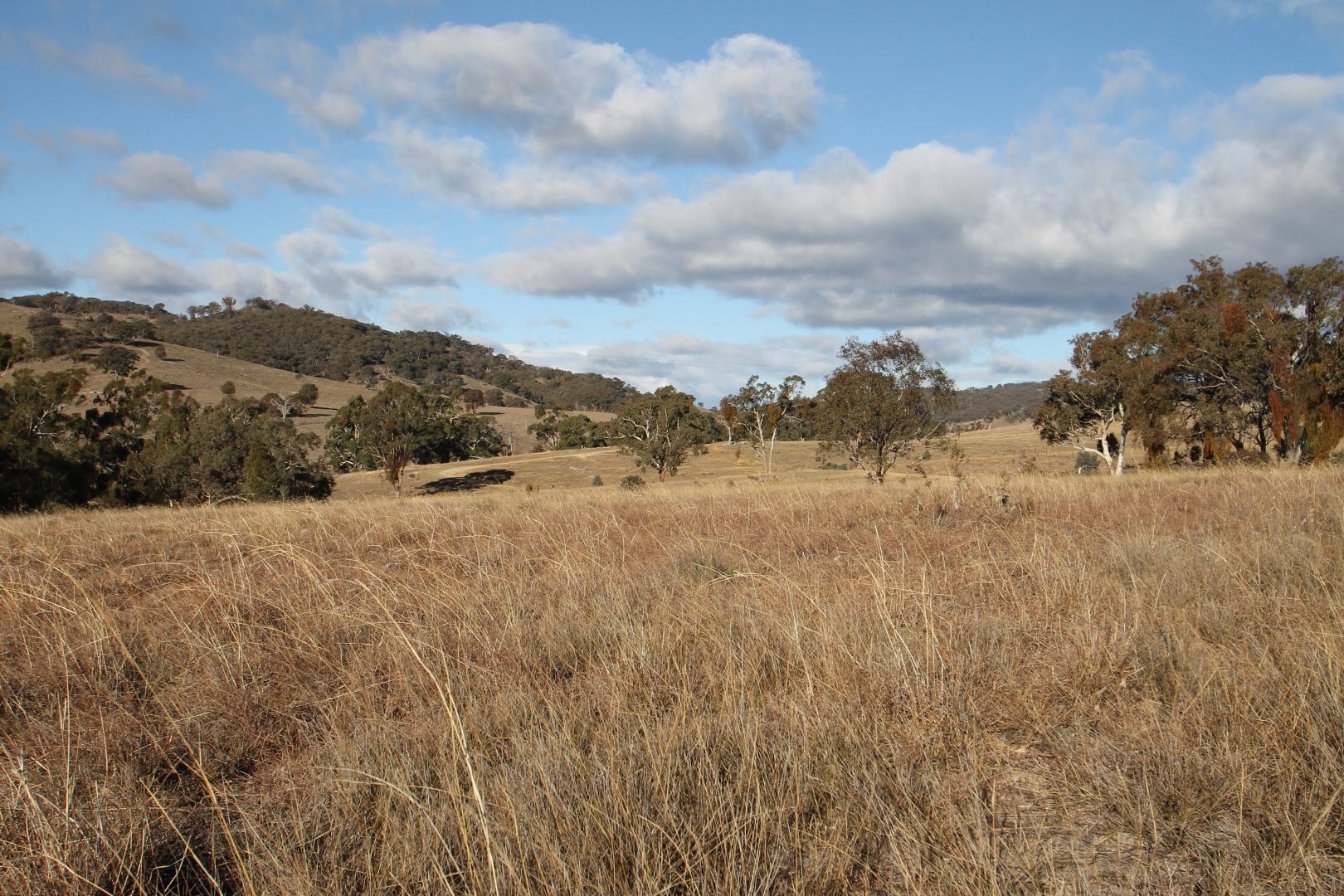 962 Campbells Creek Road, Mudgee NSW 2850, Image 2