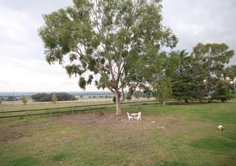 161 Wilson Road, WANGANDARY VIC 3678, Image 2