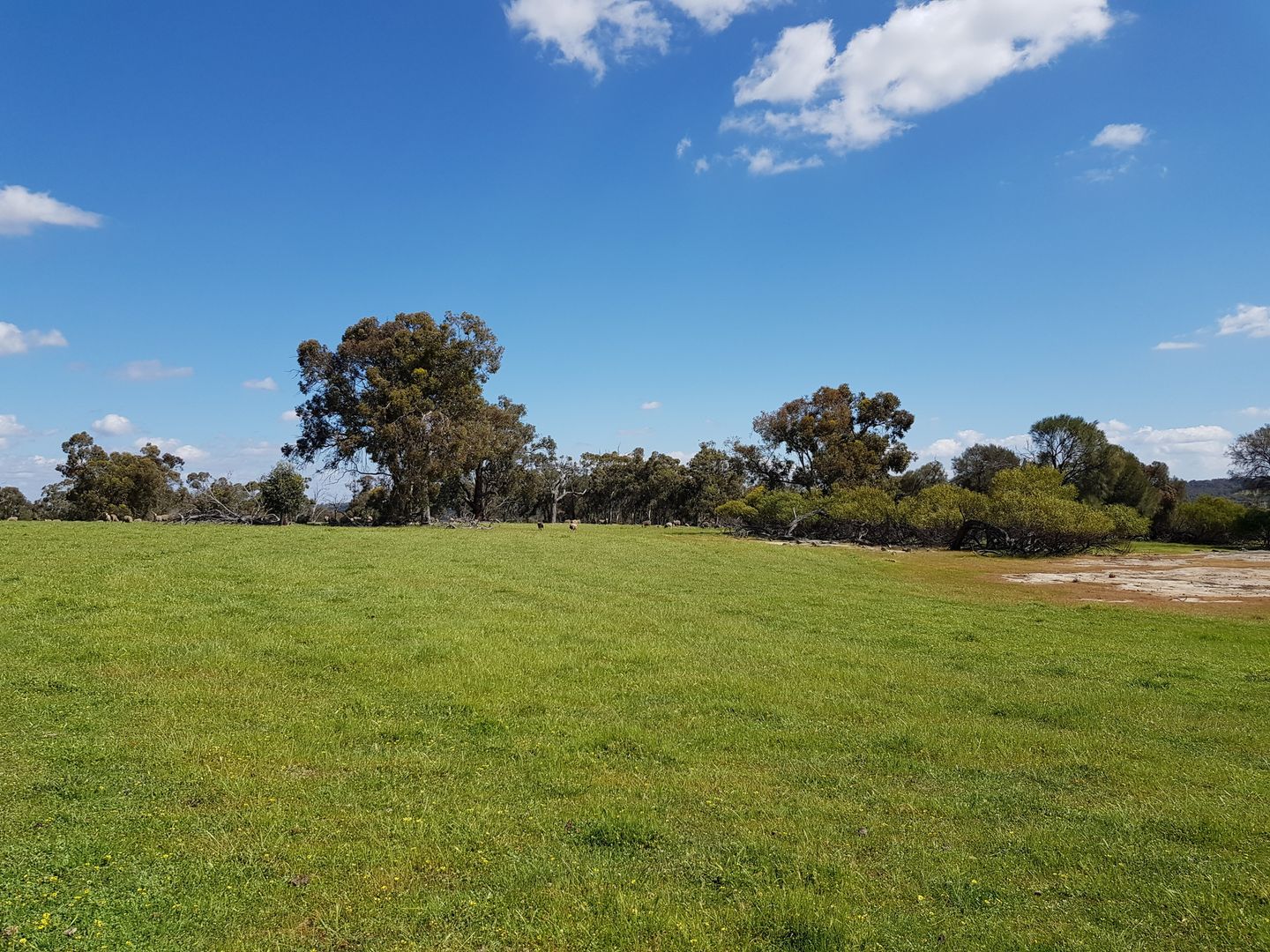 Lot 202/165 Decastilla Road, Clackline WA 6564, Image 2