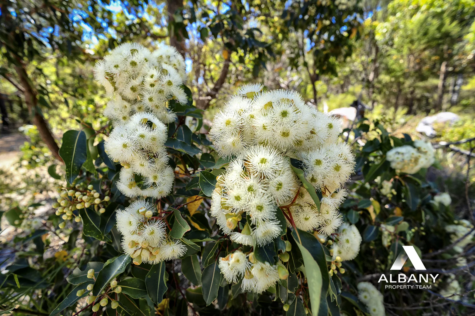 Additional image 10 of Prop Lot A, Lot 9000 Woodward Heights, Hay WA 6333