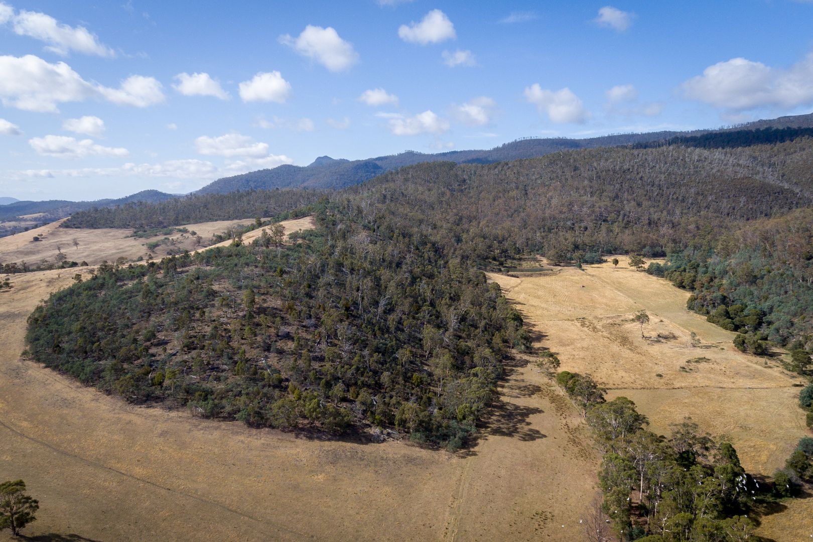 Lot 1 Elderslie Road, Broadmarsh TAS 7030 Vacant Land for Sale