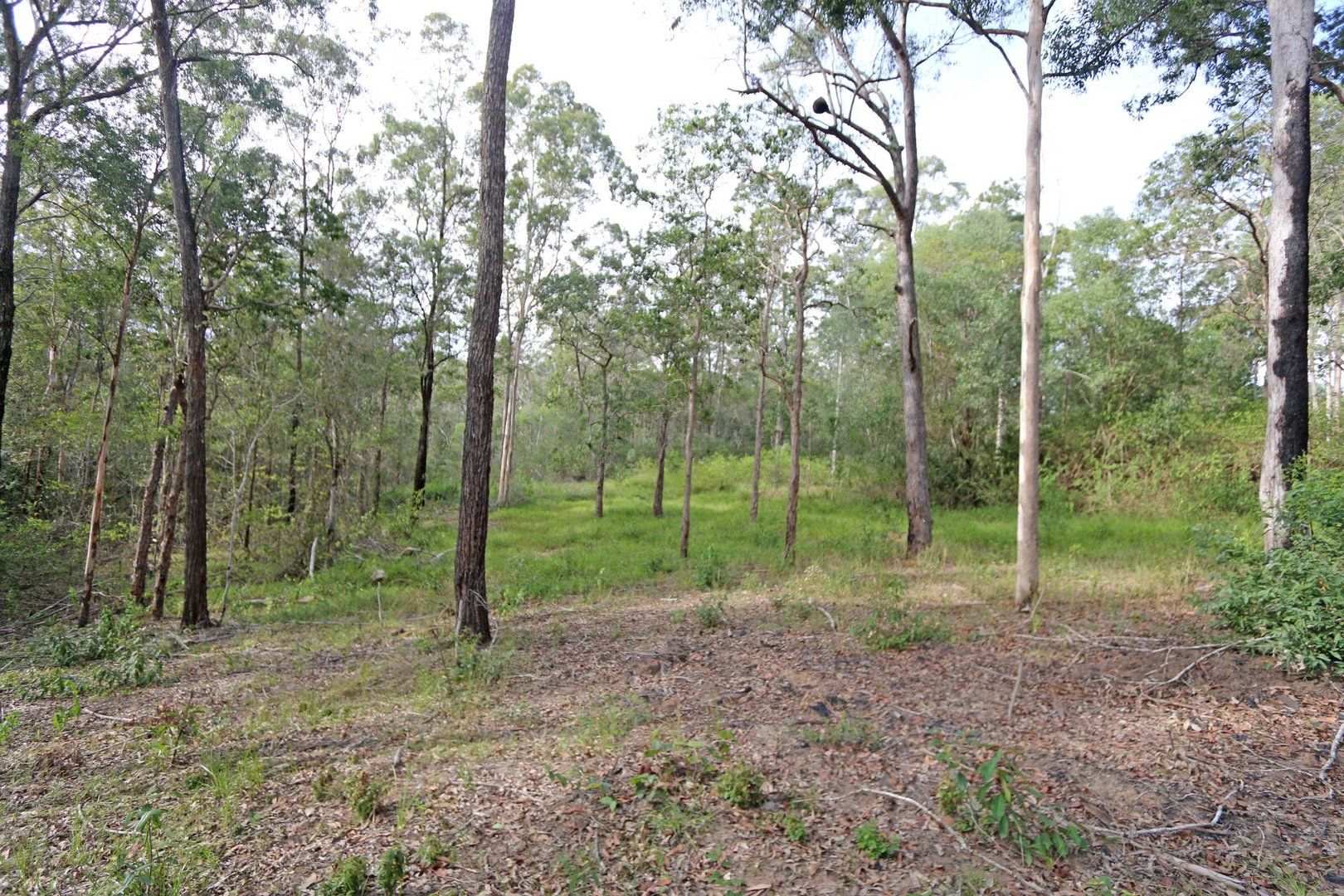 Lot 69 Ashby-Tullymorgan Road, Ashby Heights NSW 2463, Image 0