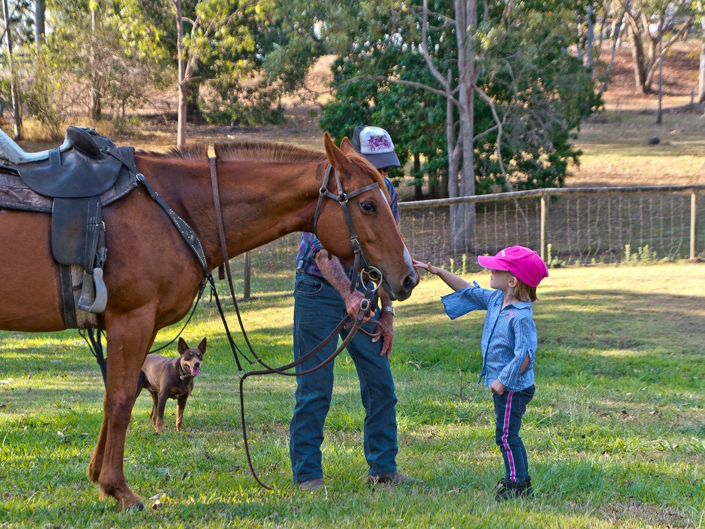 Dayboro QLD 4521, Image 0