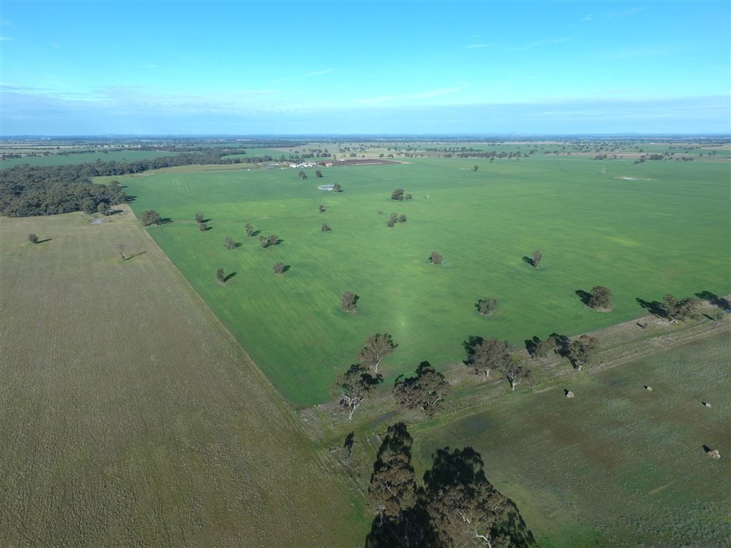 LOT 2/1203 GOORNONG - MAYREEF ROAD, Avonmore VIC 3559, Image 0