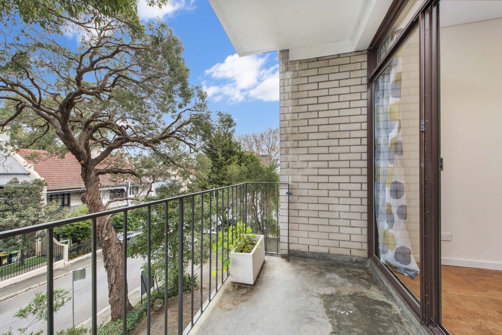 29/77 Hereford Street, Glebe NSW 2037 - Apartment For Rent | Domain
