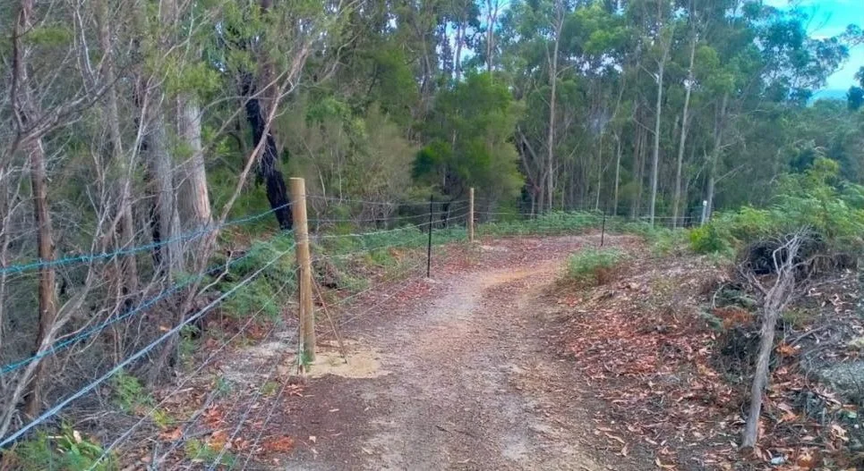 Additional image 19 of Somerset TAS 7322