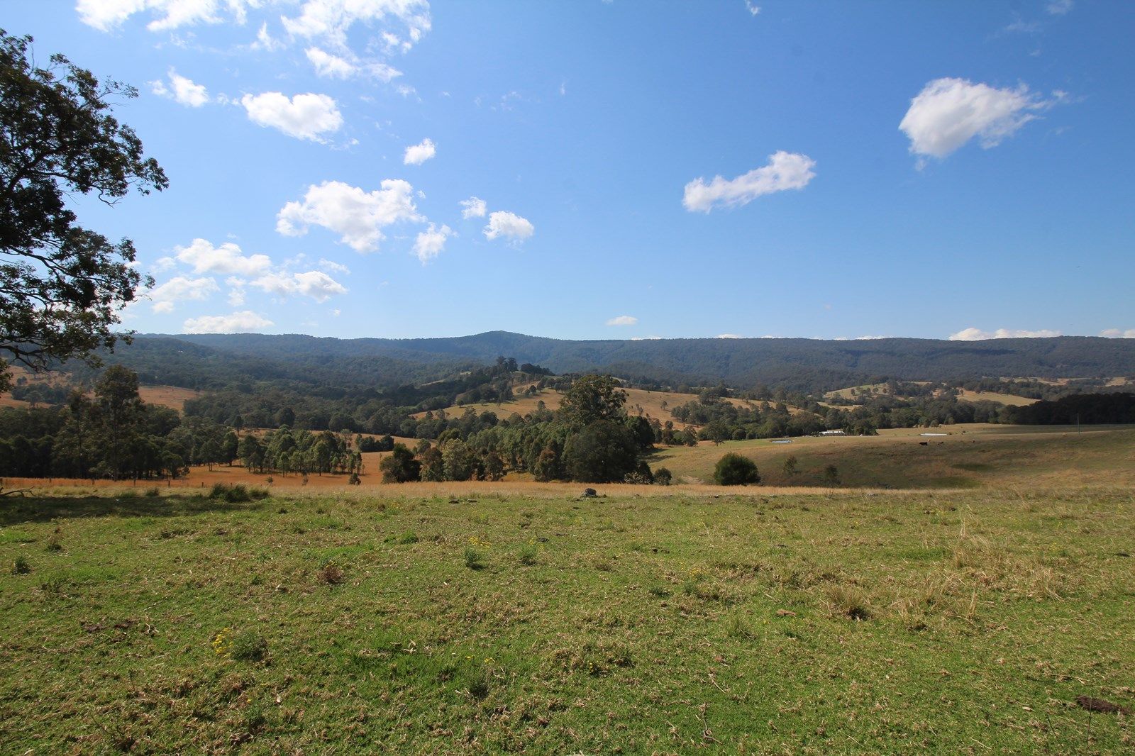 1524 Chichester Dam Road, Dungog NSW 2420, Image 1