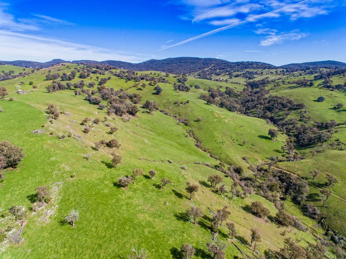 Ranch Road, Tintaldra VIC 3708, Image 0