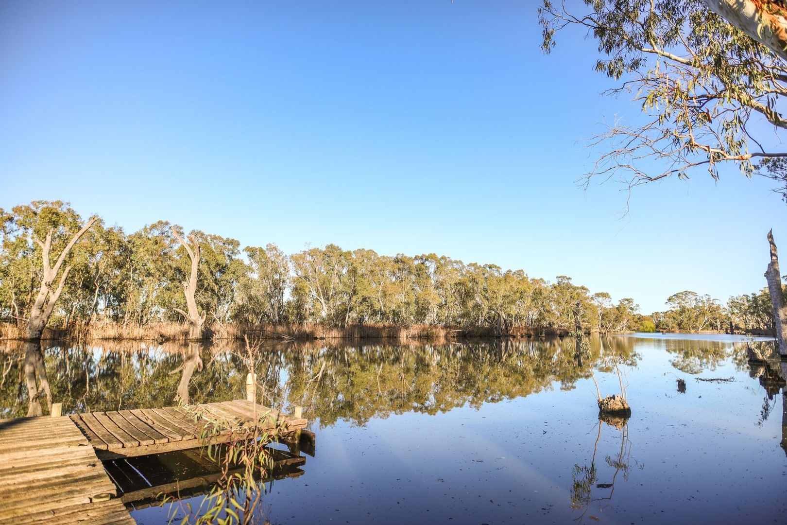 503 Cohuna Island Road, Cohuna VIC 3568, Image 2