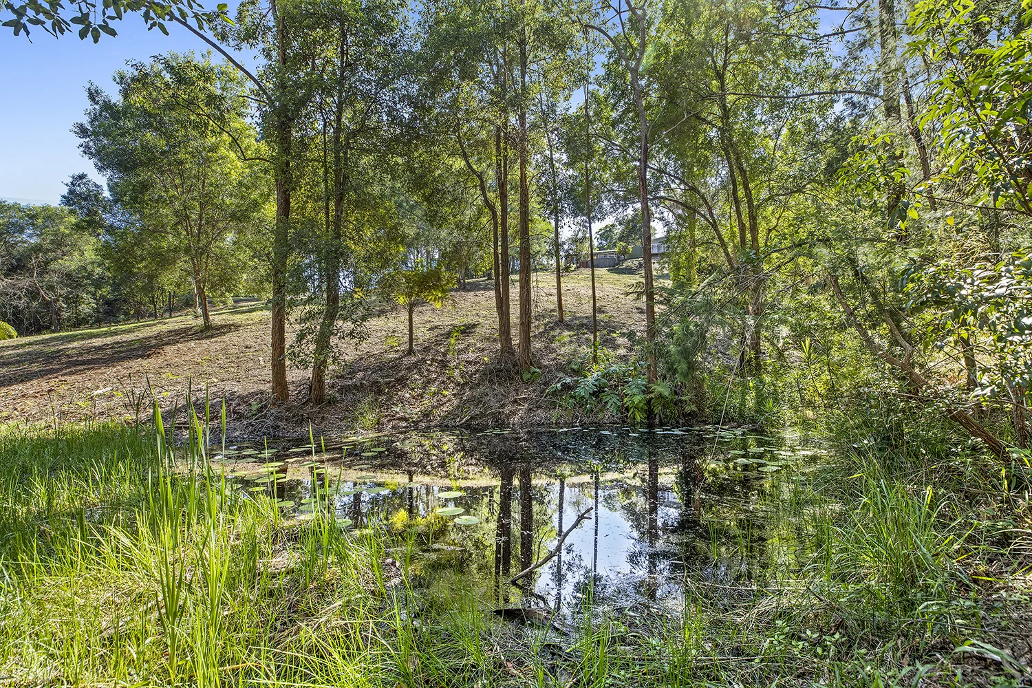 Additional image 19 of 28 Ironbark Road, Wirrimbi NSW 2447