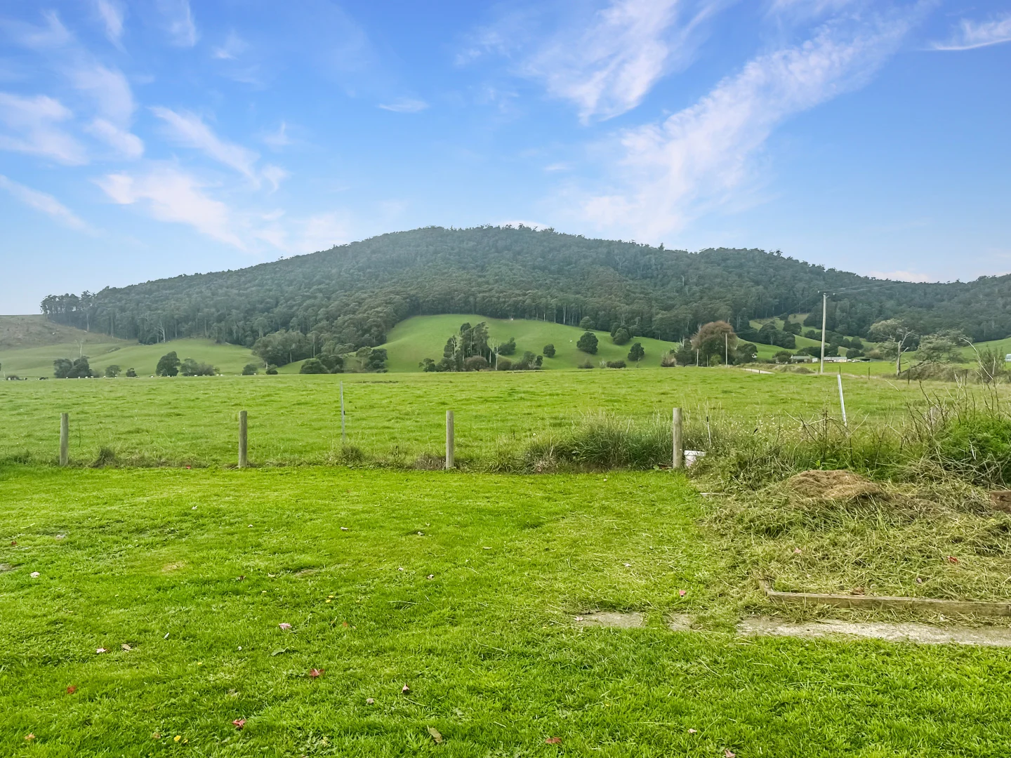 Image 25