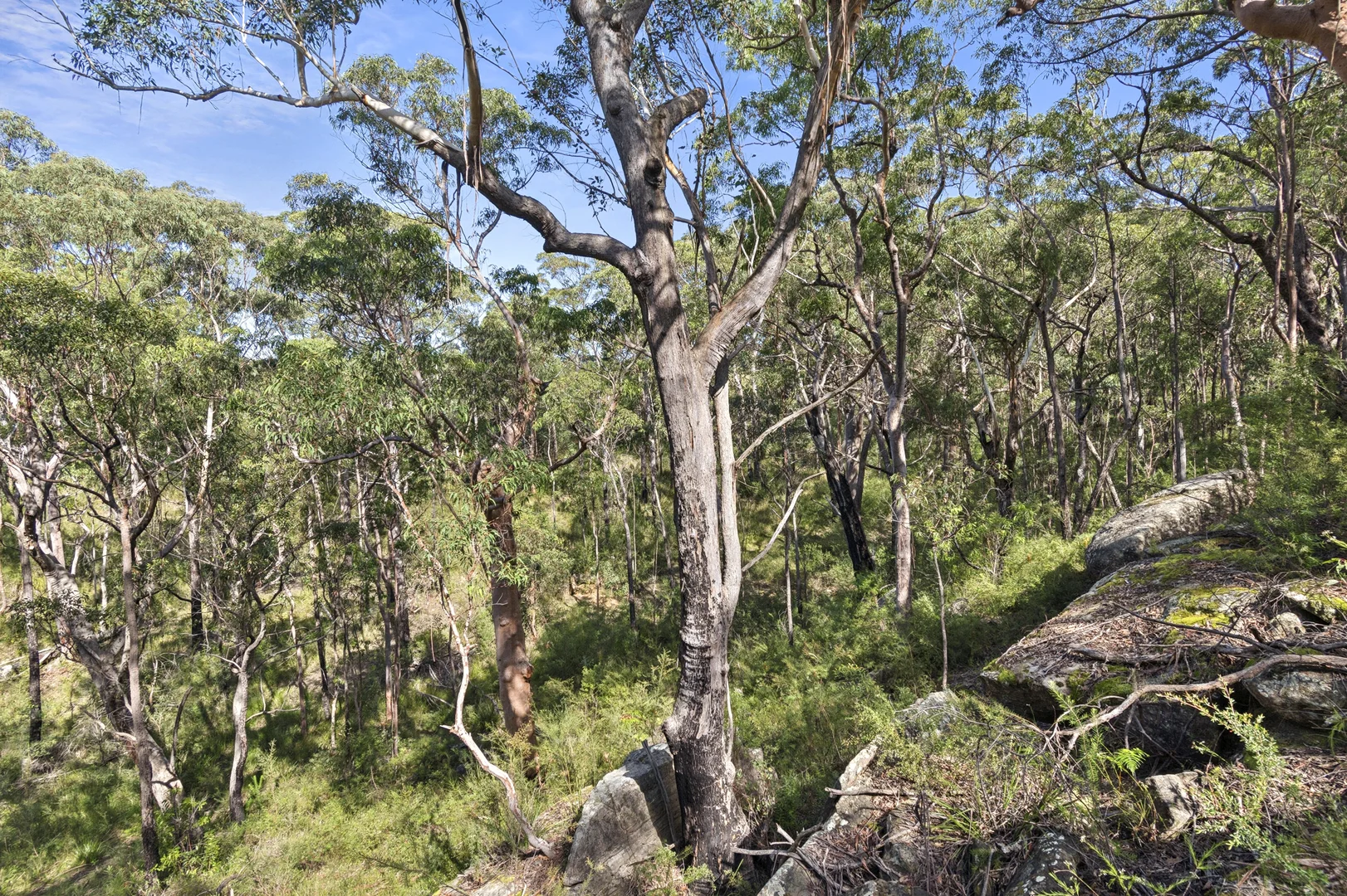 Image 17