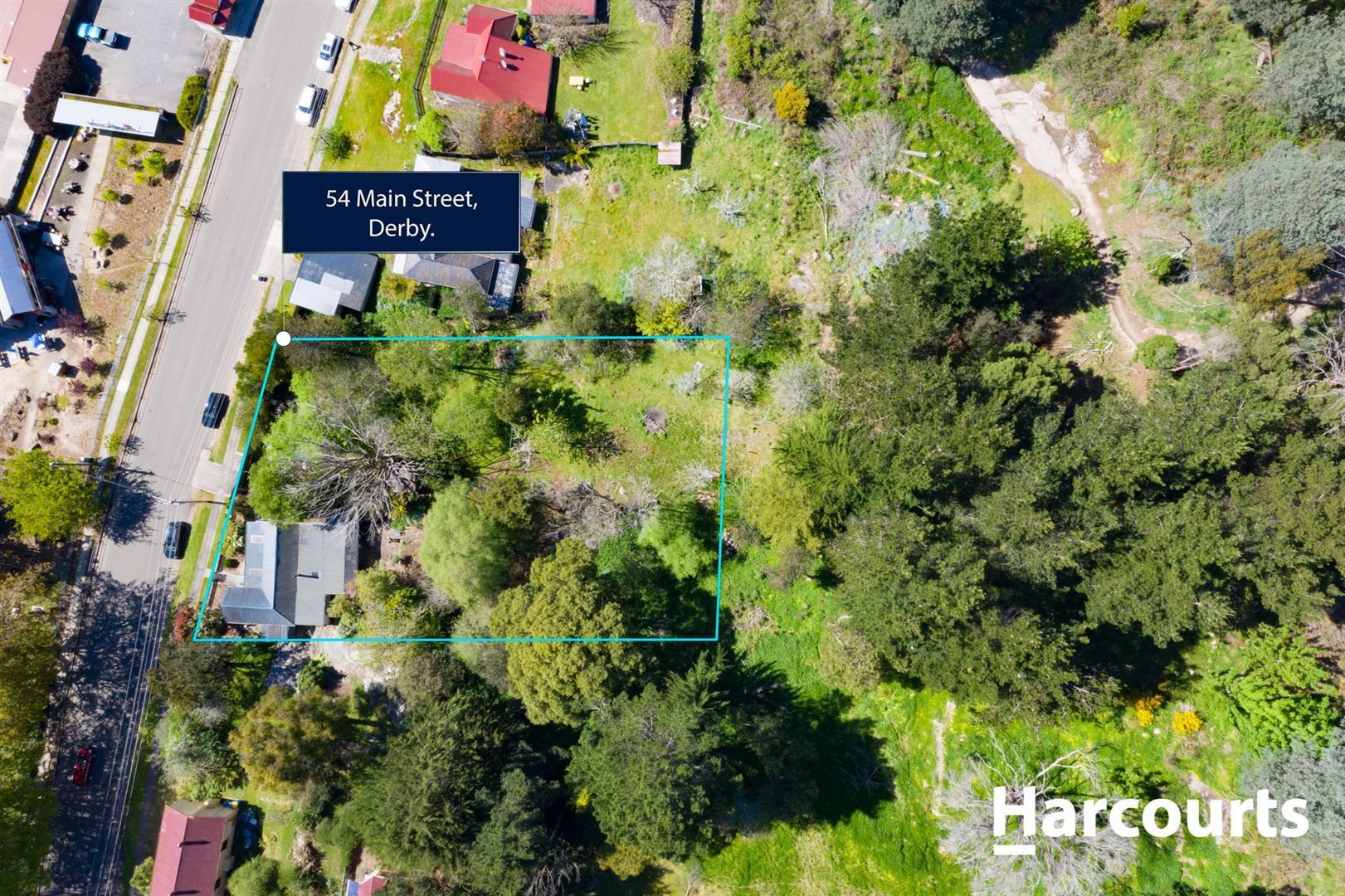 54 Main Street, Derby TAS 7264, Image 2