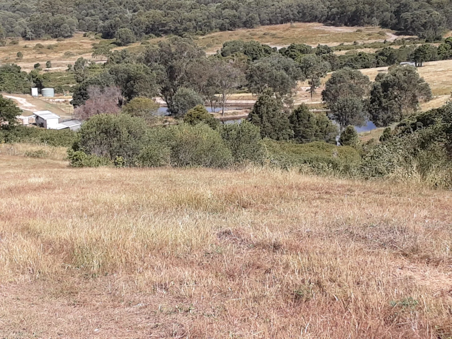 Image 23