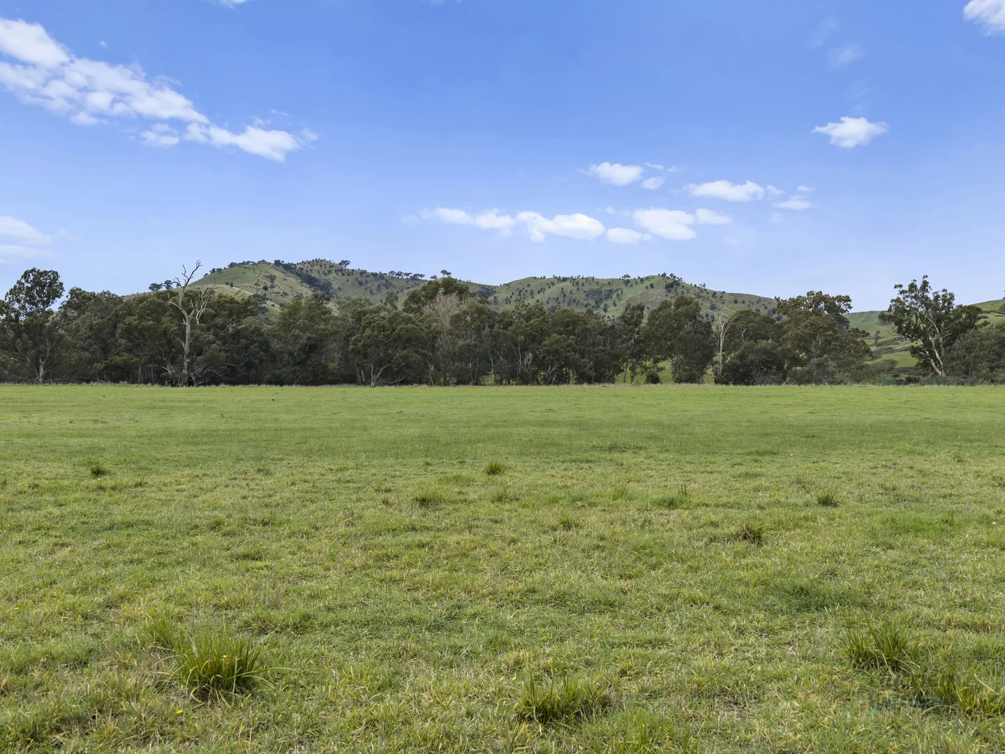 Image 25