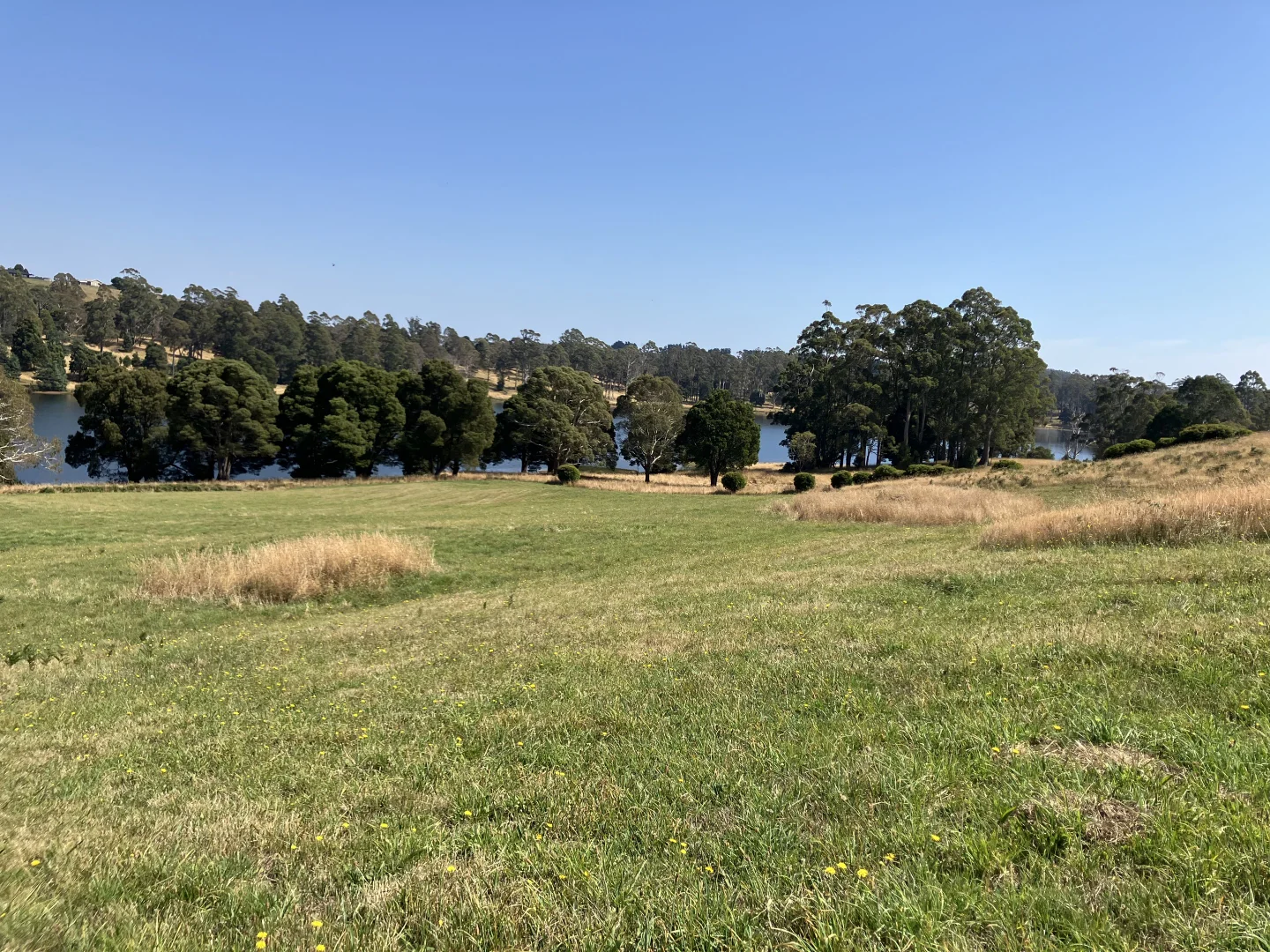 Image 22