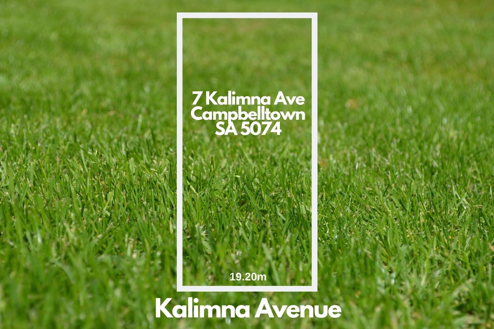 7 Kalimna Avenue, Campbelltown SA 5074, Image 0