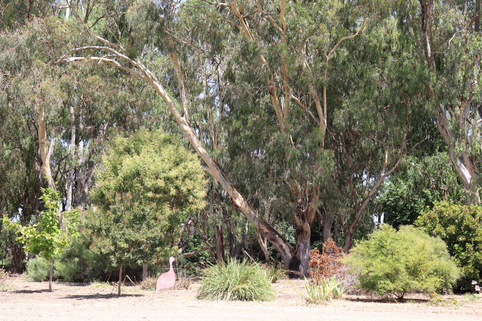 Image 22