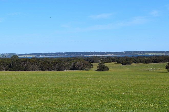 Picture of Lot 824 Rhynne Road, BAY OF SHOALS SA 5223