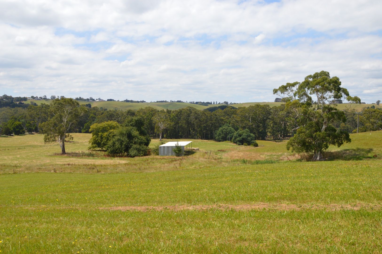 394 South Road, Loch VIC 3945, Image 2