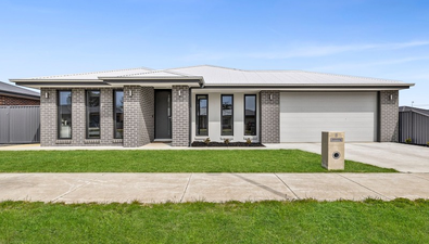 Picture of 8 Adrianus Street, ALFREDTON VIC 3350