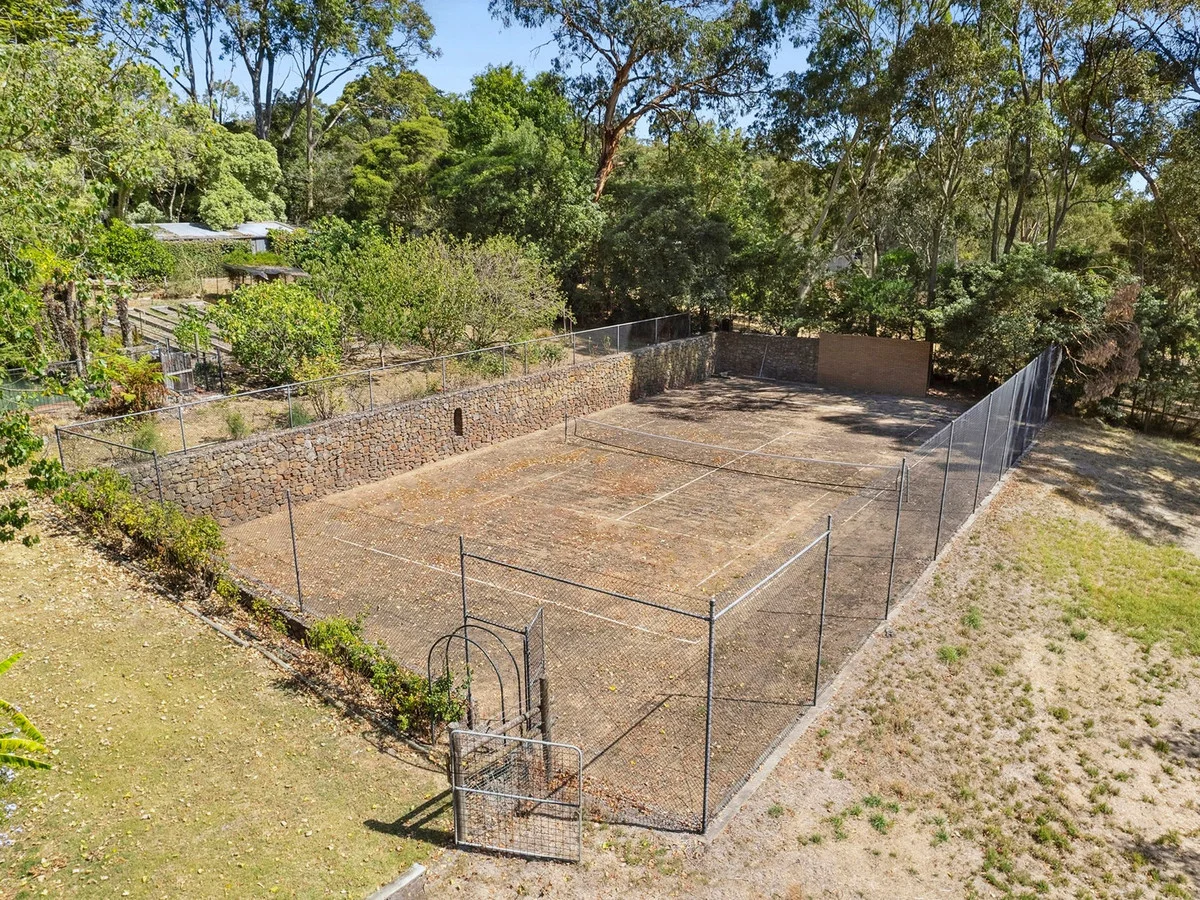 Image 21