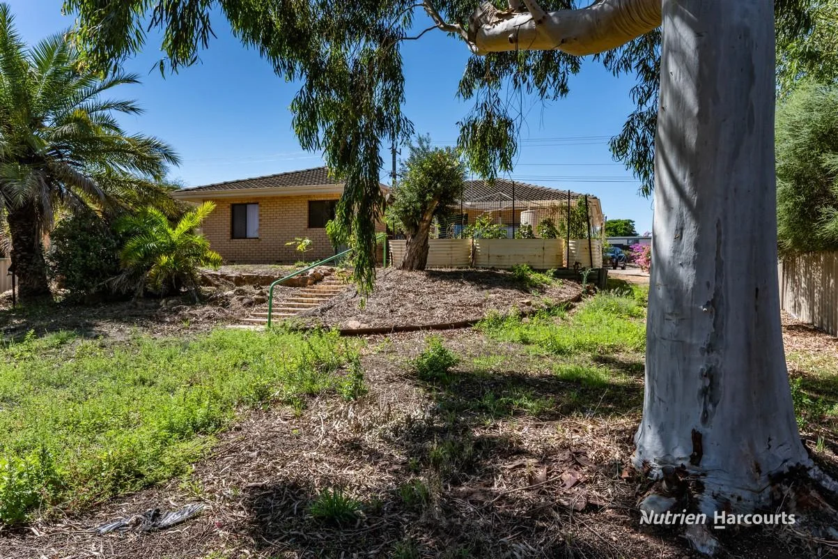 Additional image 16 of 81 Robinson Street, Northampton WA 6535