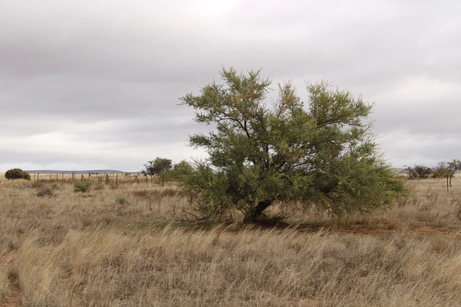 Image 60