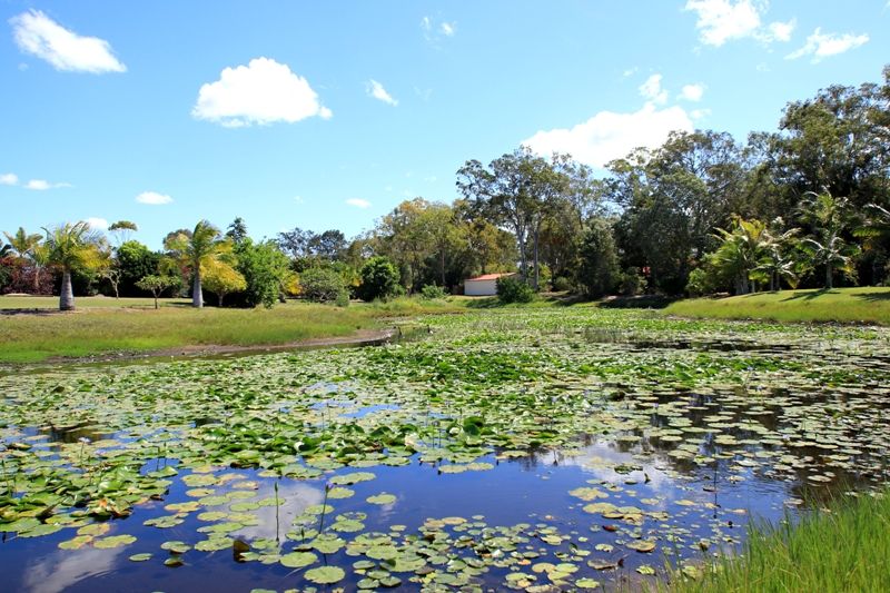 6 Caryota Court, Dundowran Beach QLD 4655, Image 0