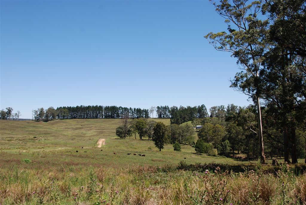 1292 Kangaroo Flat Road, Yarrowitch Property History & Address