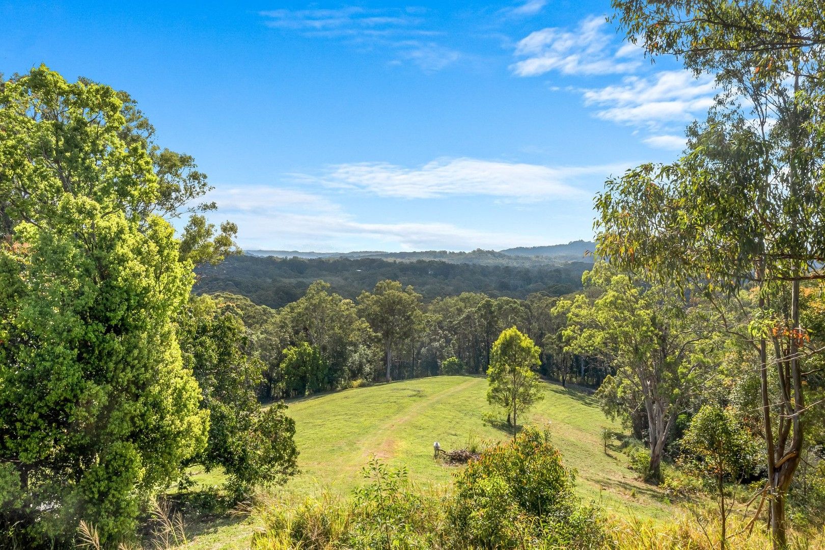 256266 Verrierdale Road, Verrierdale QLD 4562 House for Sale
