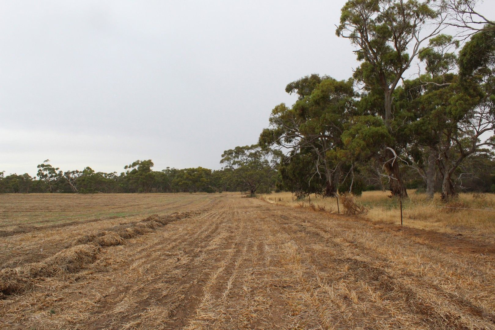 Rural in , KANIVA VIC, 3419