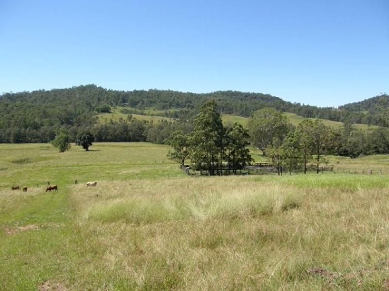 Lots 195 & 178 Smiths Creek Road, Copmanhurst NSW 2460, Image 2